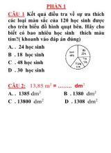Đề cương ôn thi Giữa kì II môn Toán Lớp 5